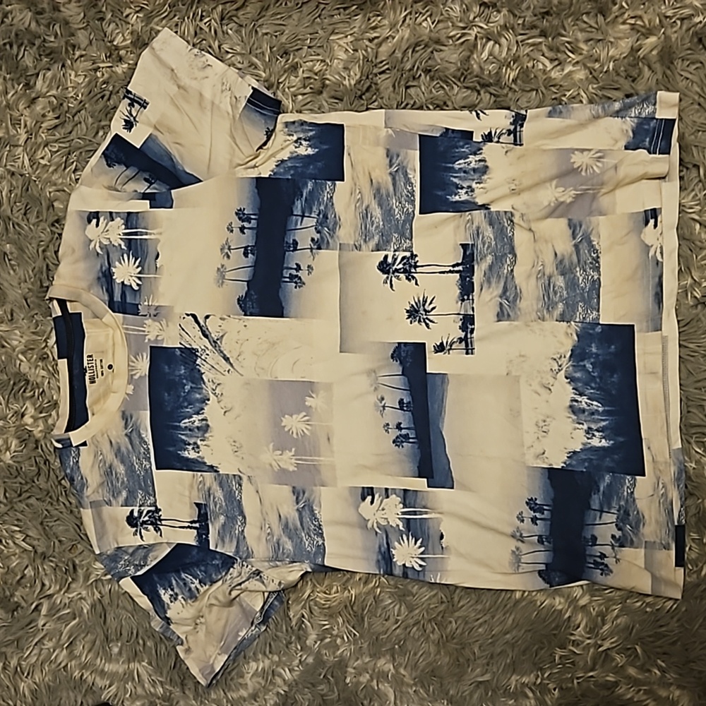 Hollister Tshirt Mens Large